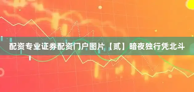 配资专业证券配资门户图片【贰】暗夜独行凭北斗
