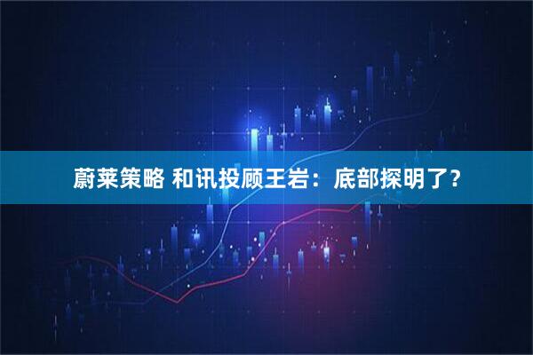 蔚莱策略 和讯投顾王岩:底部探明了?
