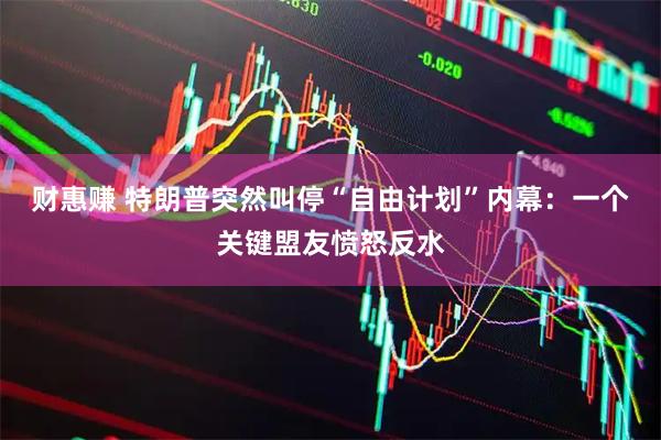 财惠赚 特朗普突然叫停“自由计划”内幕：一个关键盟友愤怒反水