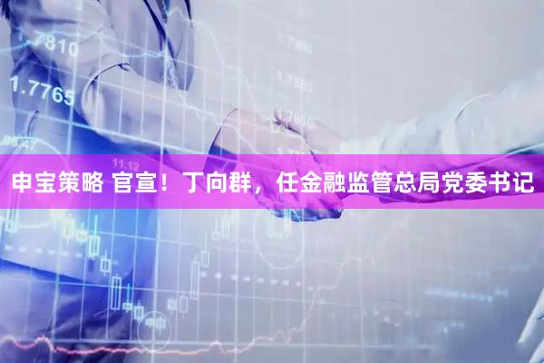 申宝策略 官宣！丁向群，任金融监管总局党委书记