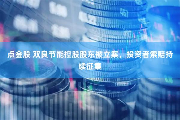 点金股 双良节能控股股东被立案，投资者索赔持续征集