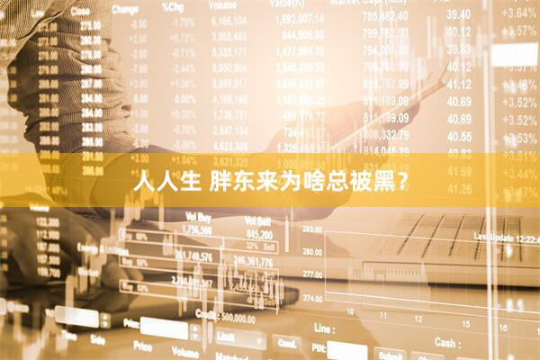 人人生 胖东来为啥总被黑？