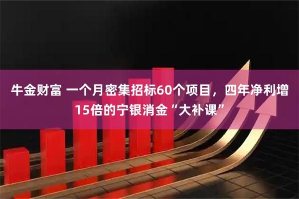 牛金财富 一个月密集招标60个项目,四年净利增15倍的宁银消金“大补课”