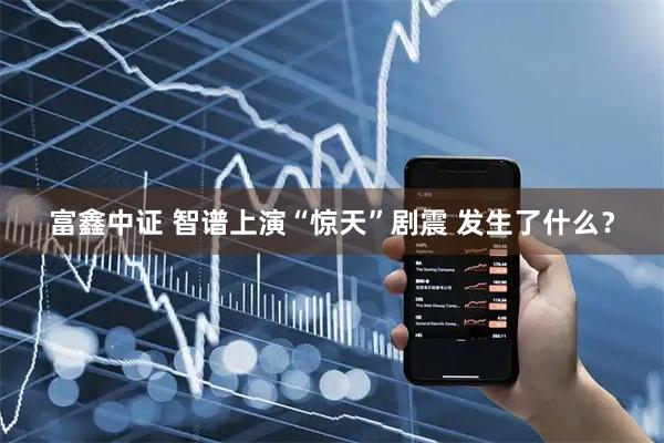 富鑫中证 智谱上演“惊天”剧震 发生了什么?