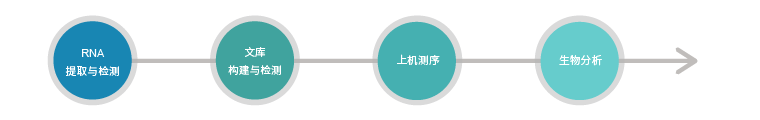 技术路线